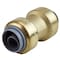 Apollo 1/2 in. Brass Push-to-Connect Polybutylene Conversion Coupling FSBPBC12 - alternate 1